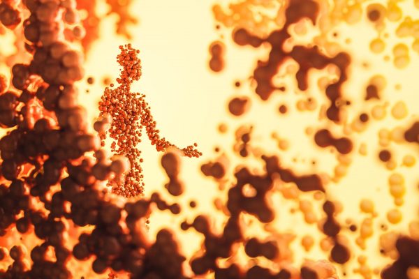 Management et sport hormones